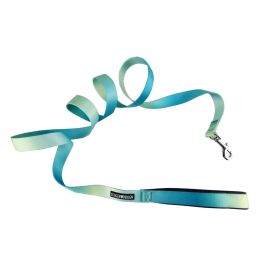 American River Ombre Leash (Color: Aruba Blue, size: 5/8 inches wide x 4 feet long)